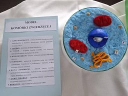 58861115613148869371059188957242153492220614n